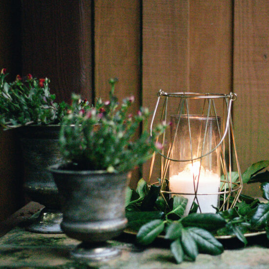 plants surrounding a candle in a lantern holder